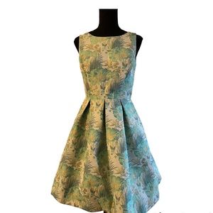 Nicole Miller Vintage style swing dress